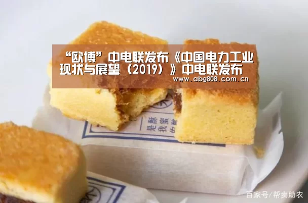 “欧博”中电联发布《中国电力工业现状与展望（2019）》中电联发布《中国电力工业现状与展望（2019）》