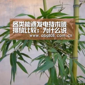 欧博