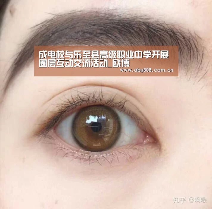 成电校与乐至县高级职业中学开展圈层互动交流活动_欧博