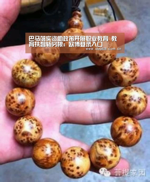 巴马落实资助政策开展职业教育　教育扶智斩穷根：欧博登录入口