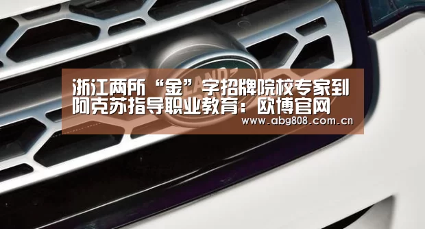 浙江两所“金”字招牌院校专家到阿克苏指导职业教育:欧博官网(图4) 欧博官网